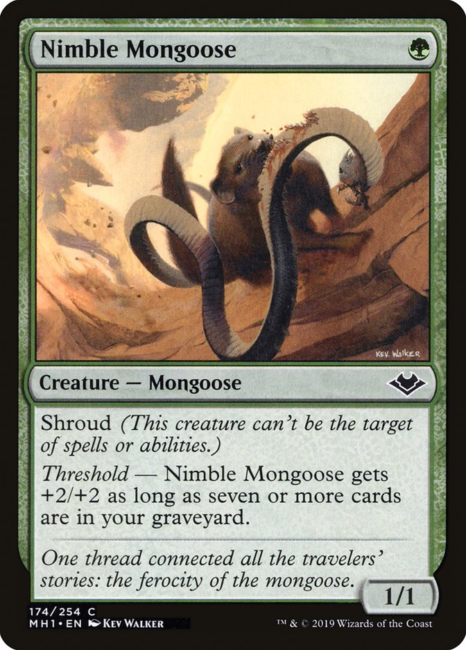 Nimble Mongoose [Modern Horizons] | Local Legends