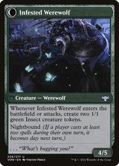 Infestation Expert (Back) | Local Legends