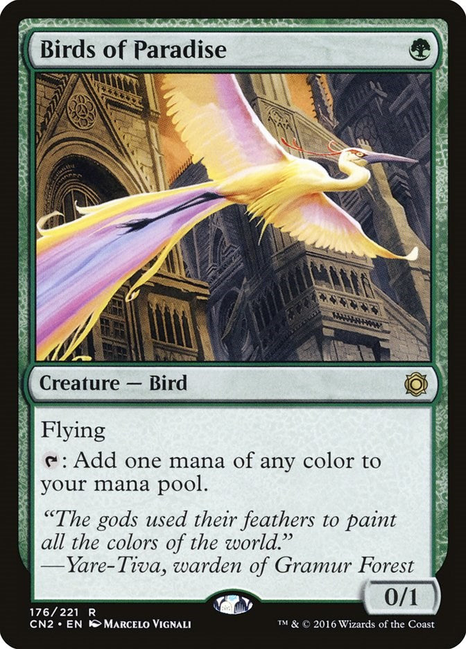Birds of Paradise | Local Legends