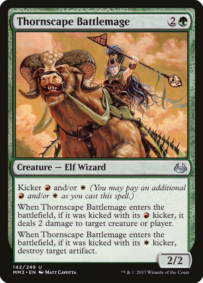 Thornscape Battlemage | Local Legends