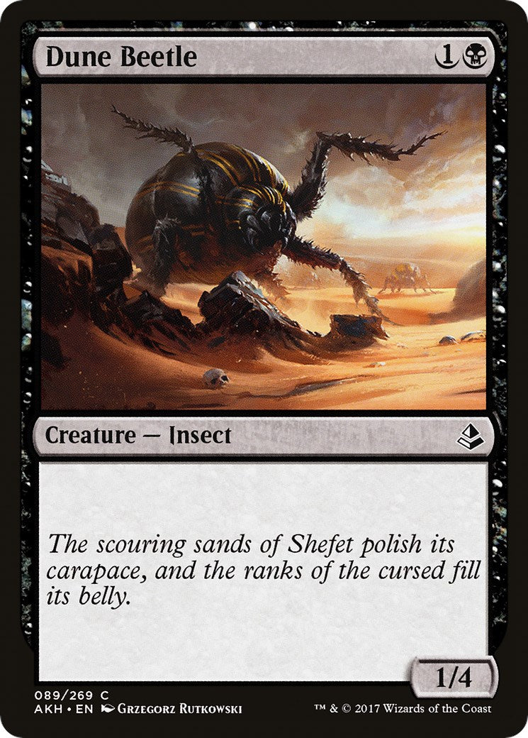 Dune Beetle | Local Legends