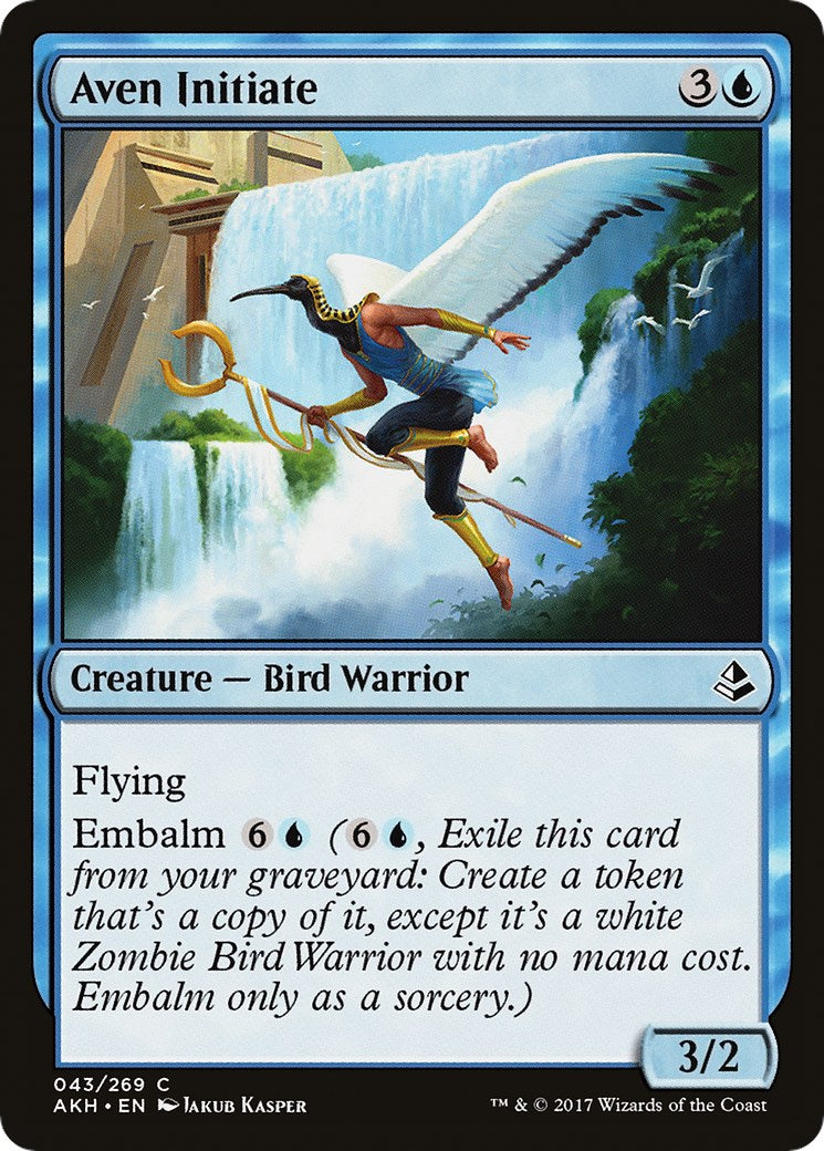 Aven Initiate | Local Legends