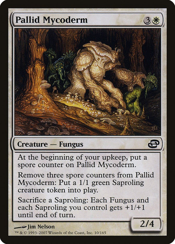 Pallid Mycoderm | Local Legends