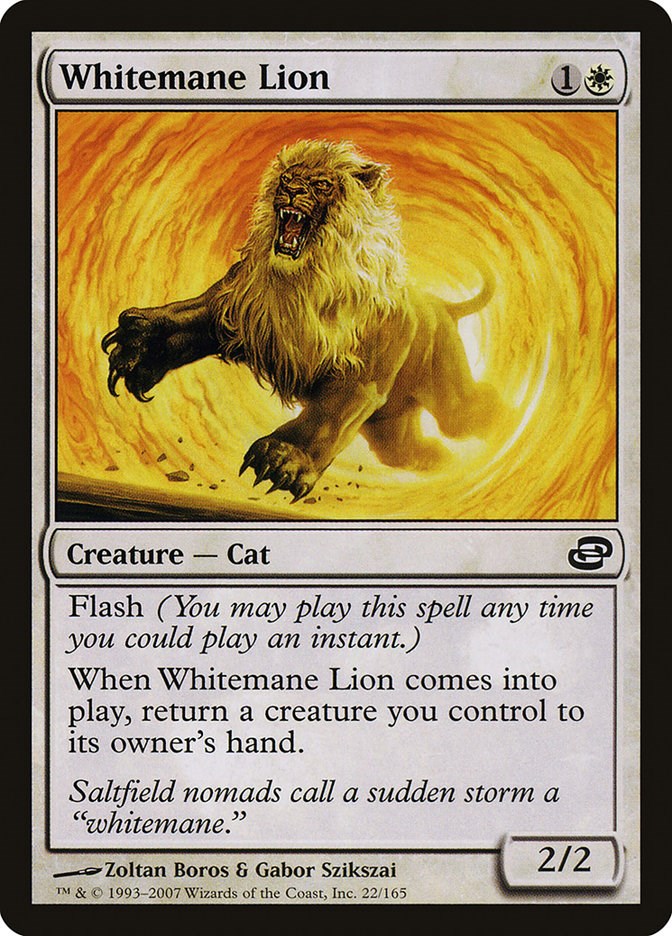 Whitemane Lion | Local Legends
