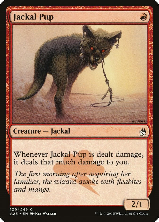Jackal Pup | Local Legends
