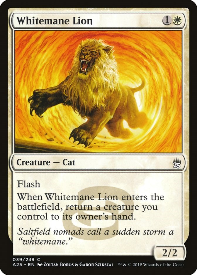 Whitemane Lion | Local Legends