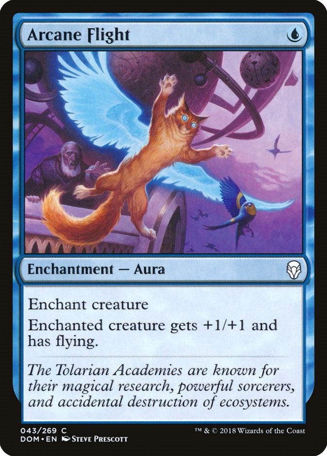 Arcane Flight | Local Legends