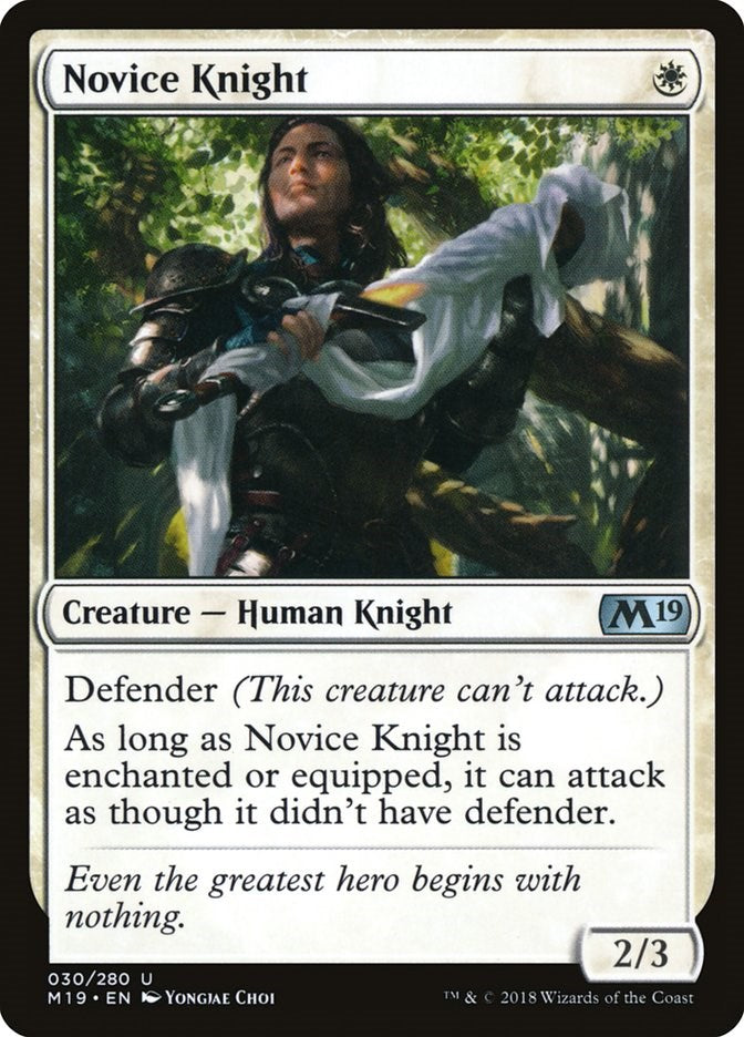 Novice Knight | Local Legends