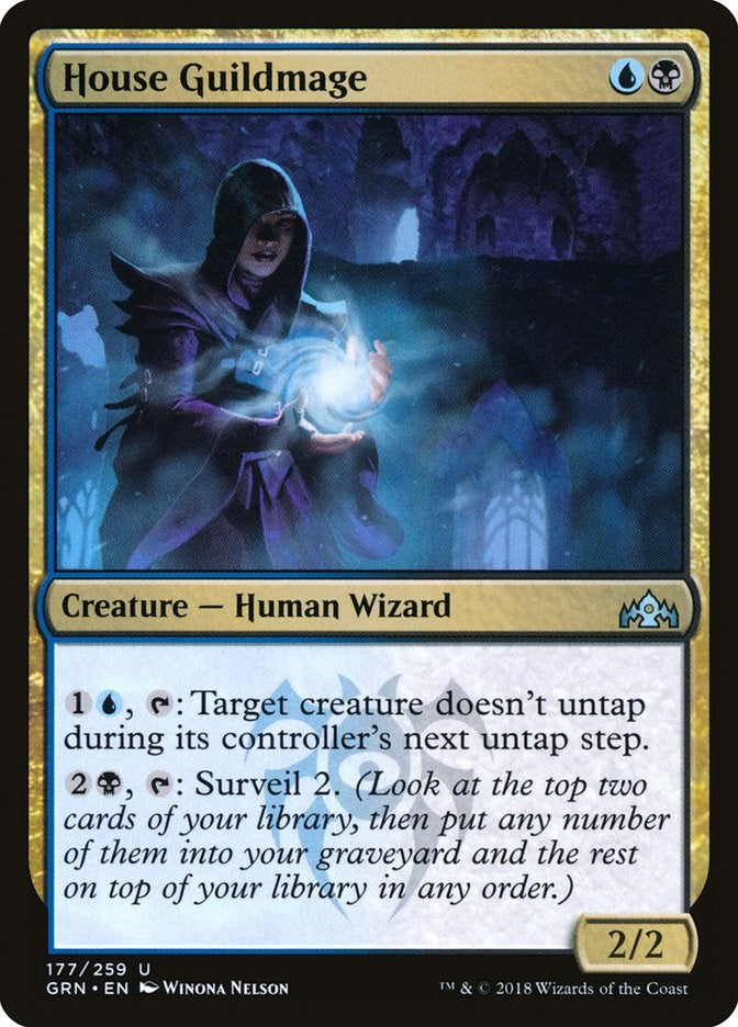 House Guildmage | Local Legends