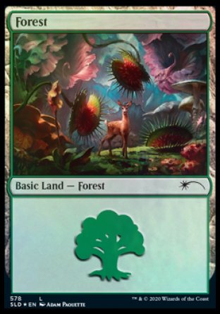 Forest (Predatory) (578) [Secret Lair Drop Promos] | Local Legends