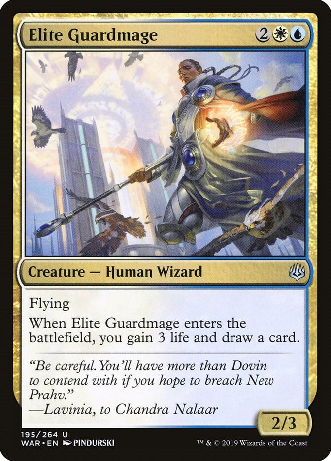 Elite Guardmage | Local Legends