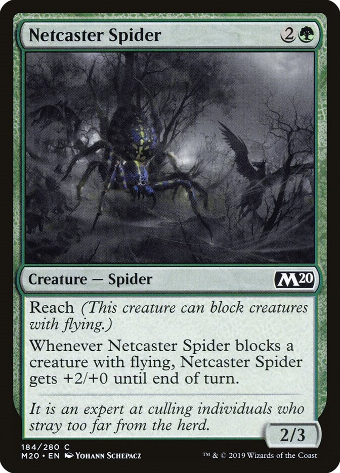 Netcaster Spider | Local Legends