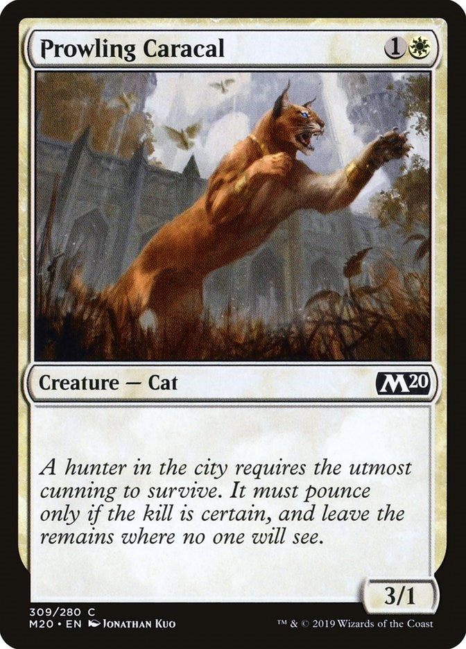 Prowling Caracal | Local Legends