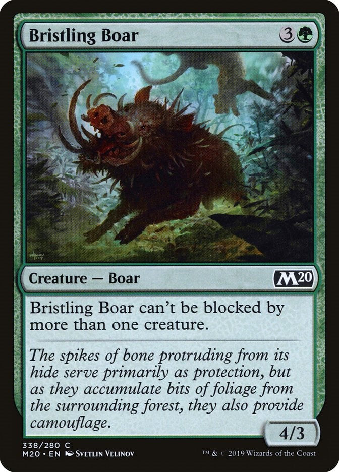 Bristling Boar | Local Legends