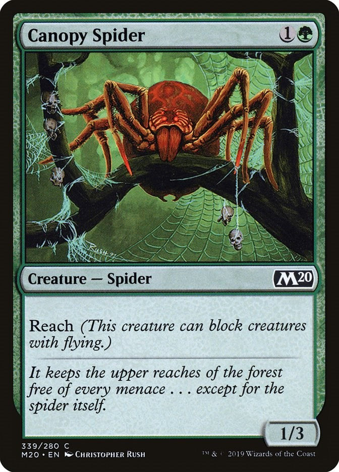 Canopy Spider | Local Legends