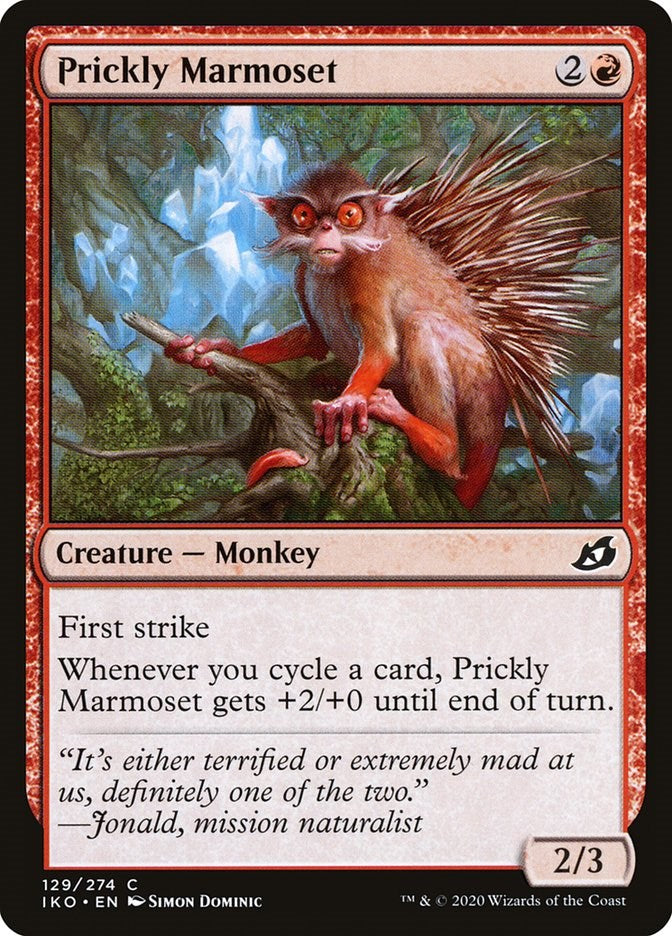 Prickly Marmoset | Local Legends