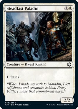 Steadfast Paladin | Local Legends