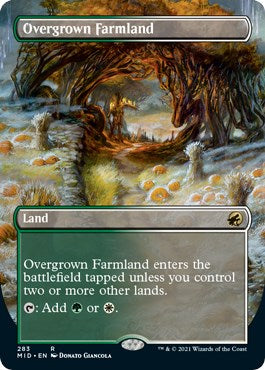 Overgrown Farmland (Borderless) | Local Legends