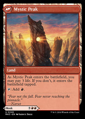 Pinnacle Monk (Back) | Local Legends