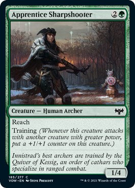 Apprentice Sharpshooter | Local Legends