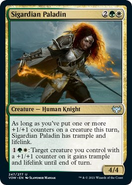 Sigardian Paladin | Local Legends