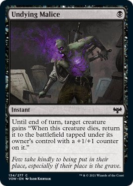 Undying Malice | Local Legends
