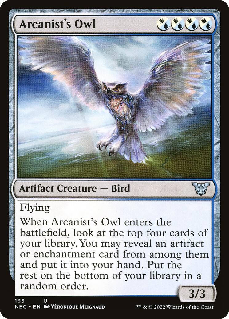 Arcanist's Owl | Local Legends