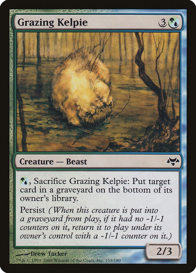 Grazing Kelpie | Local Legends