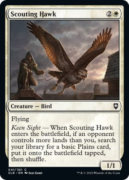 Scouting Hawk | Local Legends