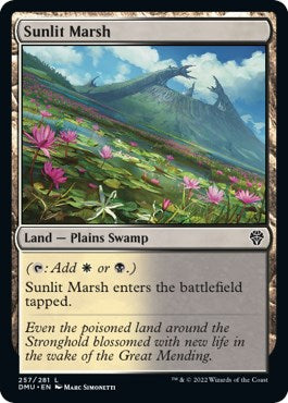 Sunlit Marsh | Local Legends