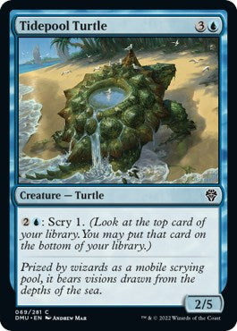 Tidepool Turtle | Local Legends