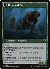 Hound Tamer (Back) | Local Legends