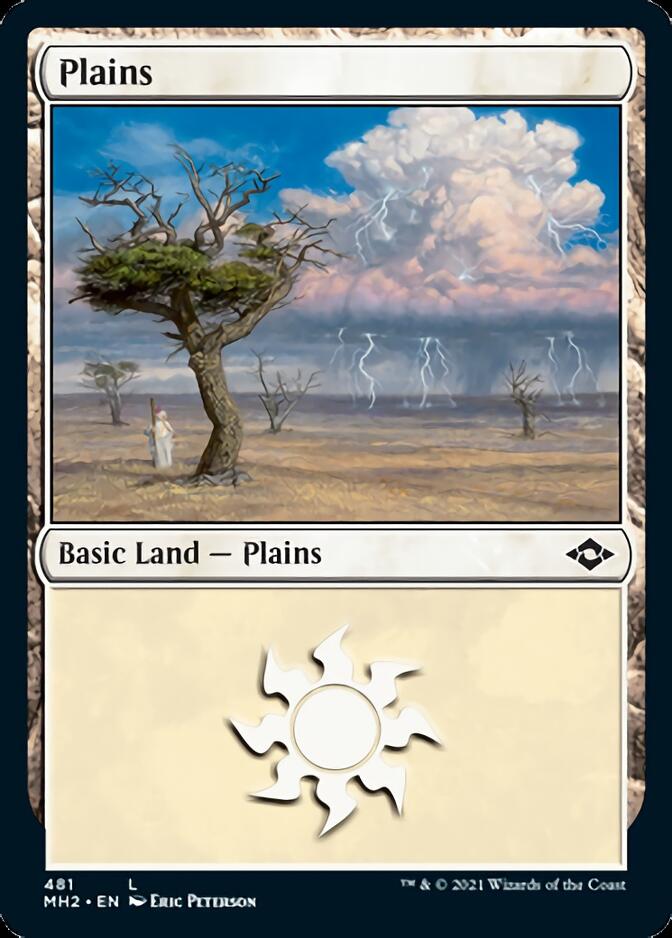 Plains (481) (Foil Etched) [Modern Horizons 2] | Golgari Games