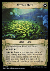 Twists and Turns (Back) | Local Legends
