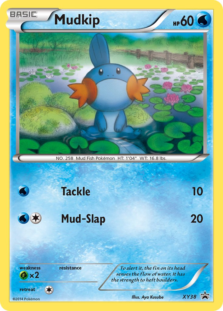 Mudkip (XY38) [XY: Black Star Promos] | Golgari Games