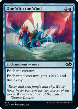 One With the Wind | Local Legends