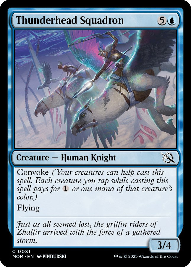 Thunderhead Squadron | Local Legends