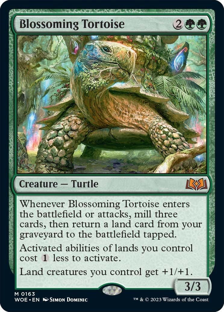 Blossoming Tortoise | Local Legends