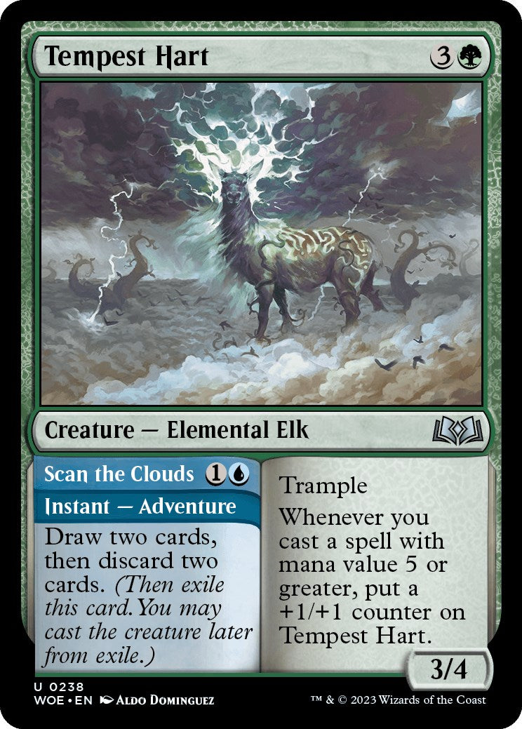 Tempest Hart | Local Legends