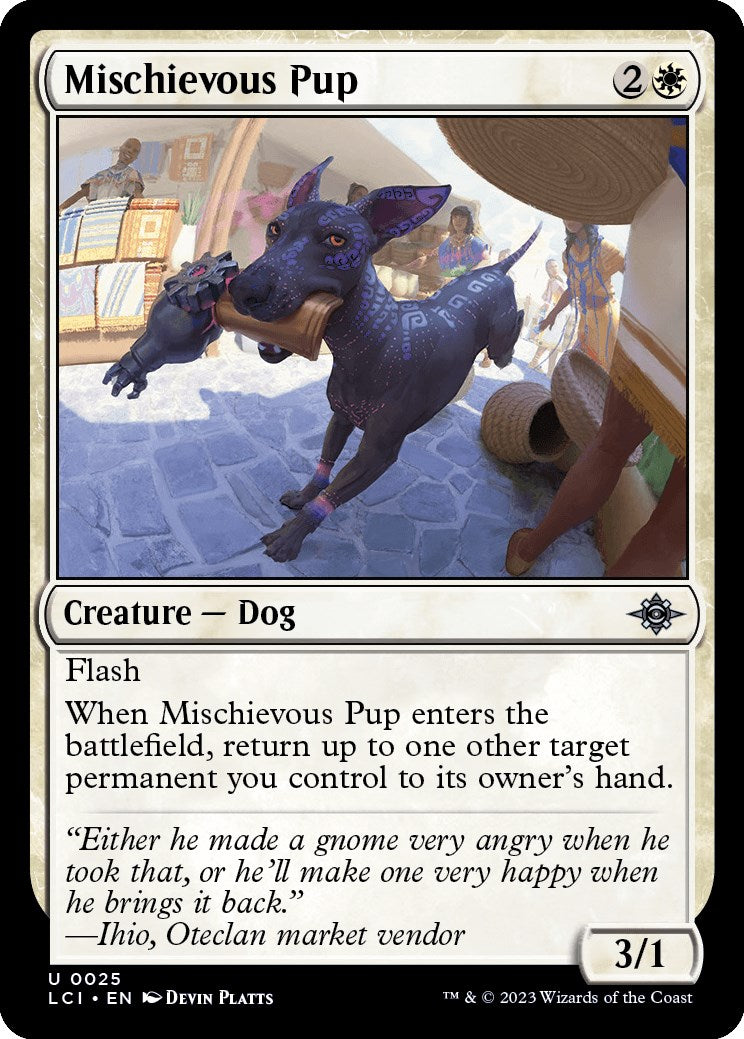 Mischievous Pup | Local Legends