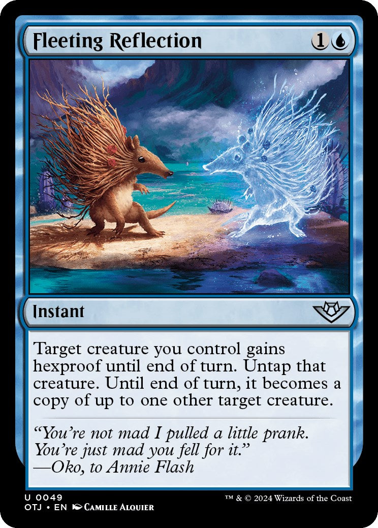 Fleeting Reflection | Local Legends