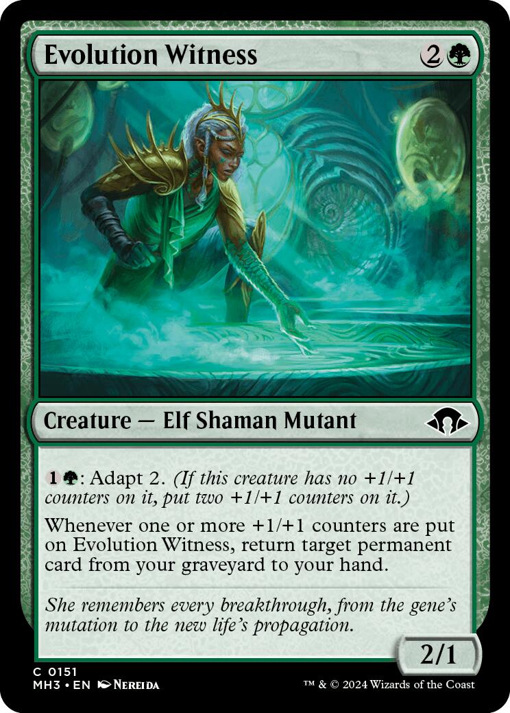 Evolution Witness | Local Legends