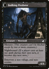 Shady Traveler (Back) | Local Legends