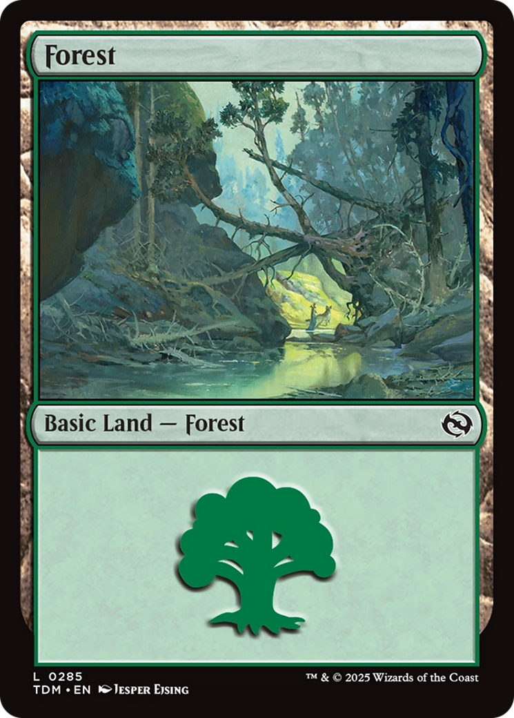Forest (0285) [Tarkir: Dragonstorm] | Local Legends