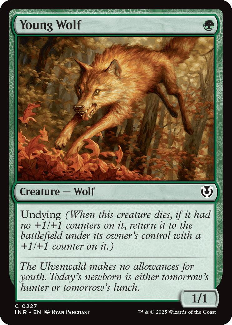 Young Wolf | Local Legends