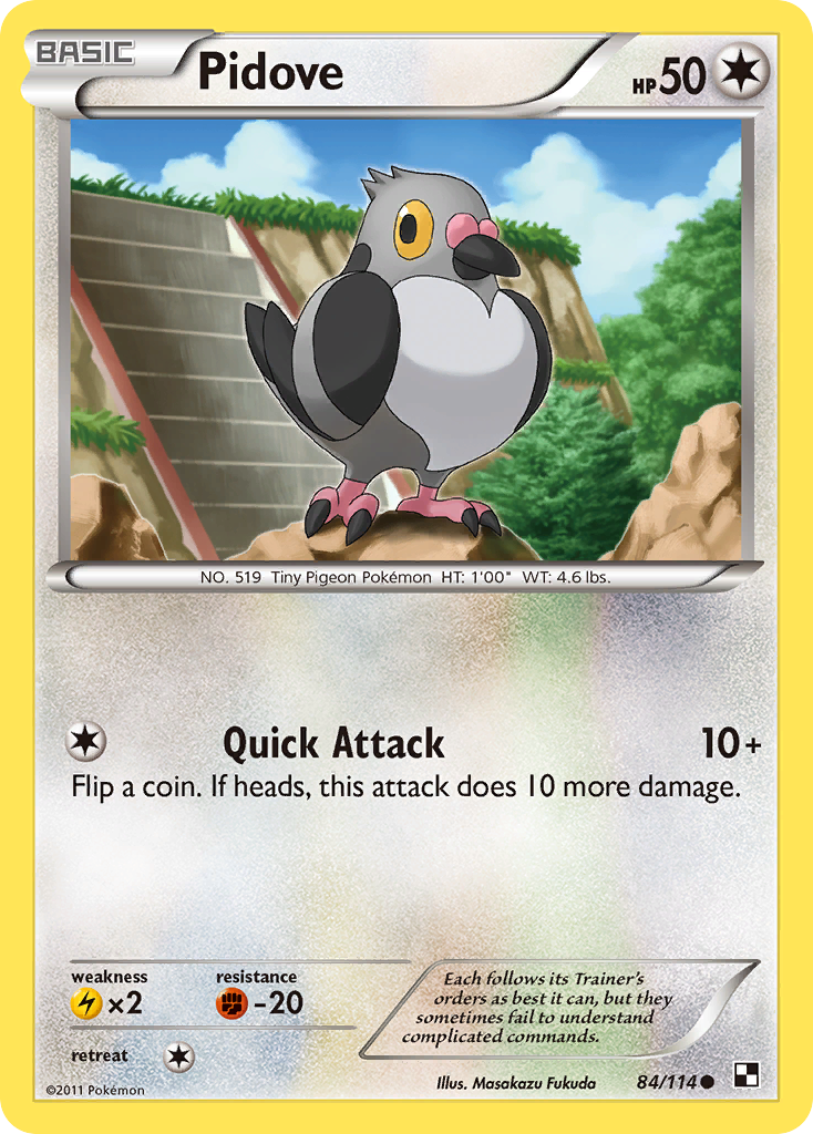 Pidove (84/114) [Black & White: Base Set] | Local Legends