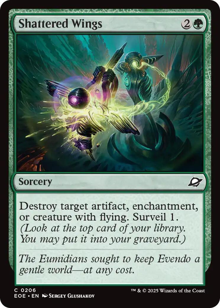 Shattered Wings | Local Legends