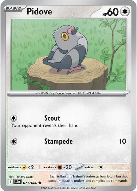 Pidove (071/086) [Scarlet & Violet: Black Bolt] | Local Legends