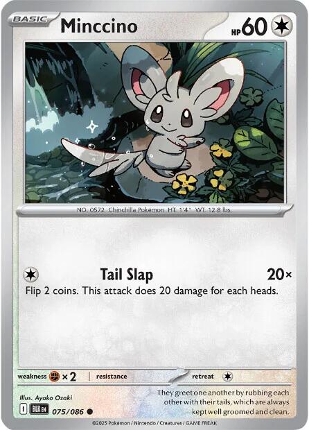 Minccino (075/086) [Scarlet & Violet: Black Bolt] | Local Legends
