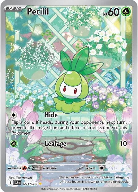 Petilil (091/086) [Scarlet & Violet: Black Bolt] | Local Legends